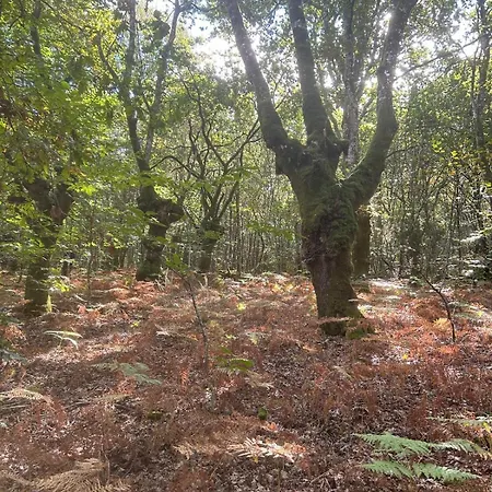 O Forno De Catuxa & Casa rural Lugo