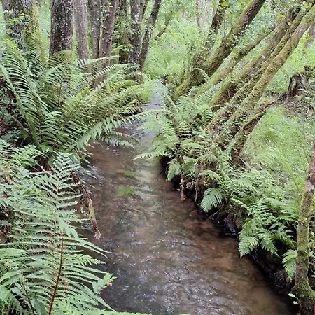 O Forno De Catuxa & Landhuis
