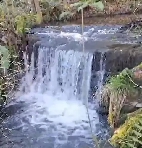 O Forno De Catuxa & *