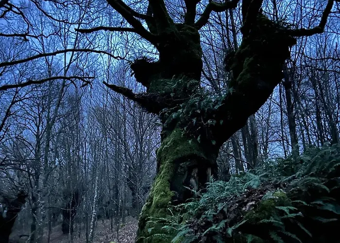 Εξοχικό σπίτι O Forno De Catuxa & *