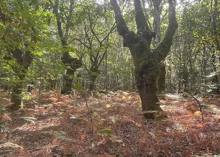 O Forno De Catuxa & Εξοχικό σπίτι Lugo