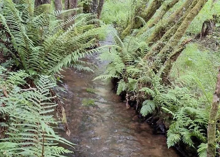 O Forno De Catuxa & Εξοχικό σπίτι